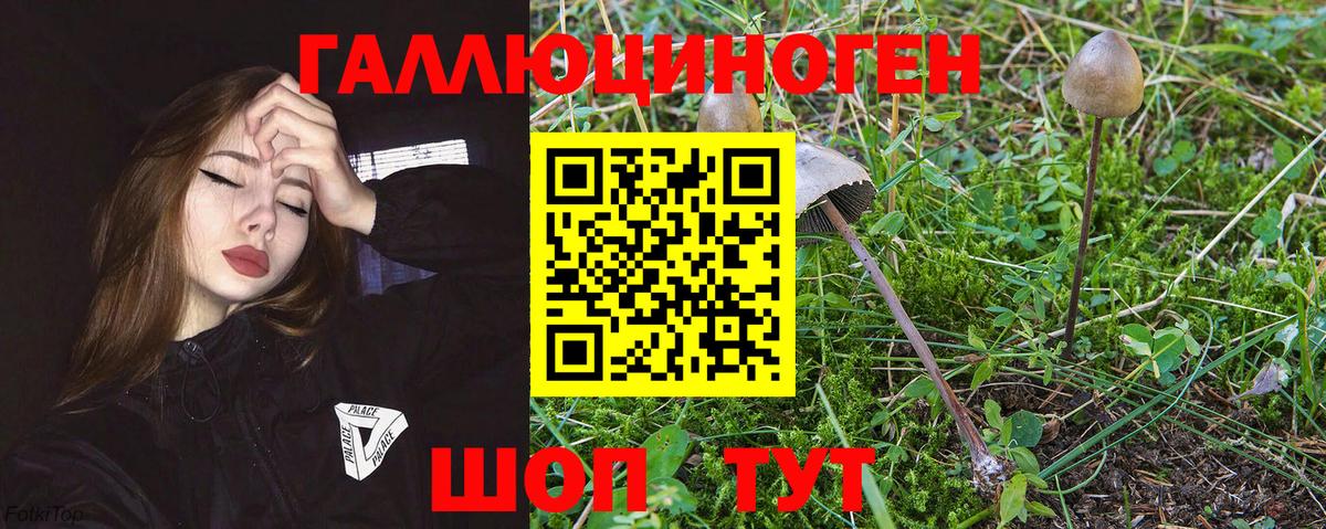 Соликамск  Псилоцибиновые грибы GOLDEN TEACHER  Галлюциногенные грибы мухоморы  Вход с VPN 