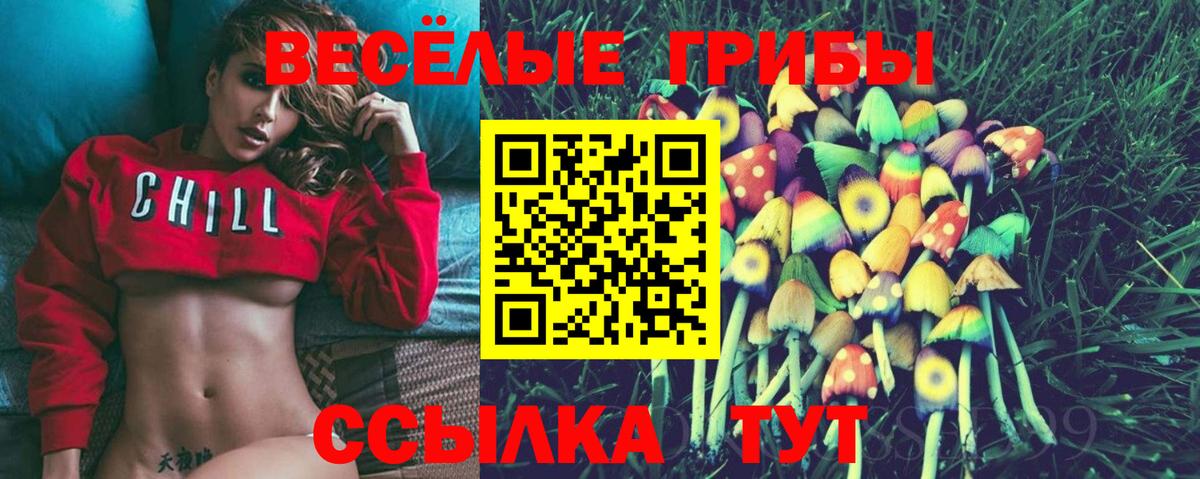 Псилоцибиновые грибы прущие грибы Соликамск